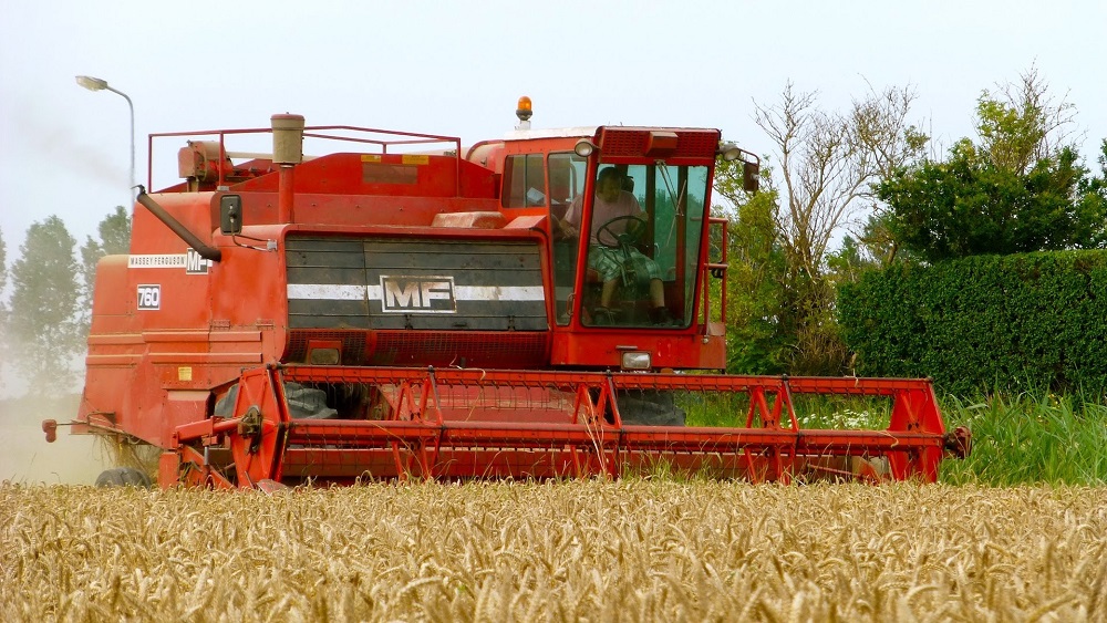 MASSEY FERGUSON3.jpg