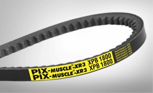 PIX-Muscle®-XR3 High Power3.jpg