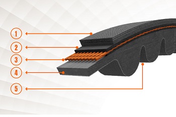 PIX-Harvester® -XR Agricultural Moulded REC1 Belts – kópia.jpg