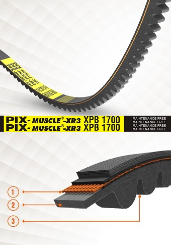 PIX-Muscle® -XR3.png