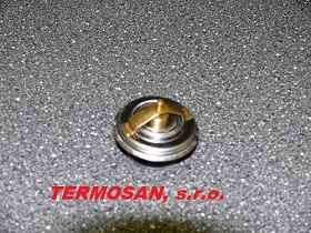 Termostat 89005904 WAHLER 77°C 